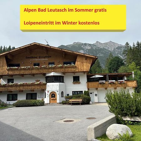 Appartement W4 Haus Ganghofer à Leutasch Extérieur photo