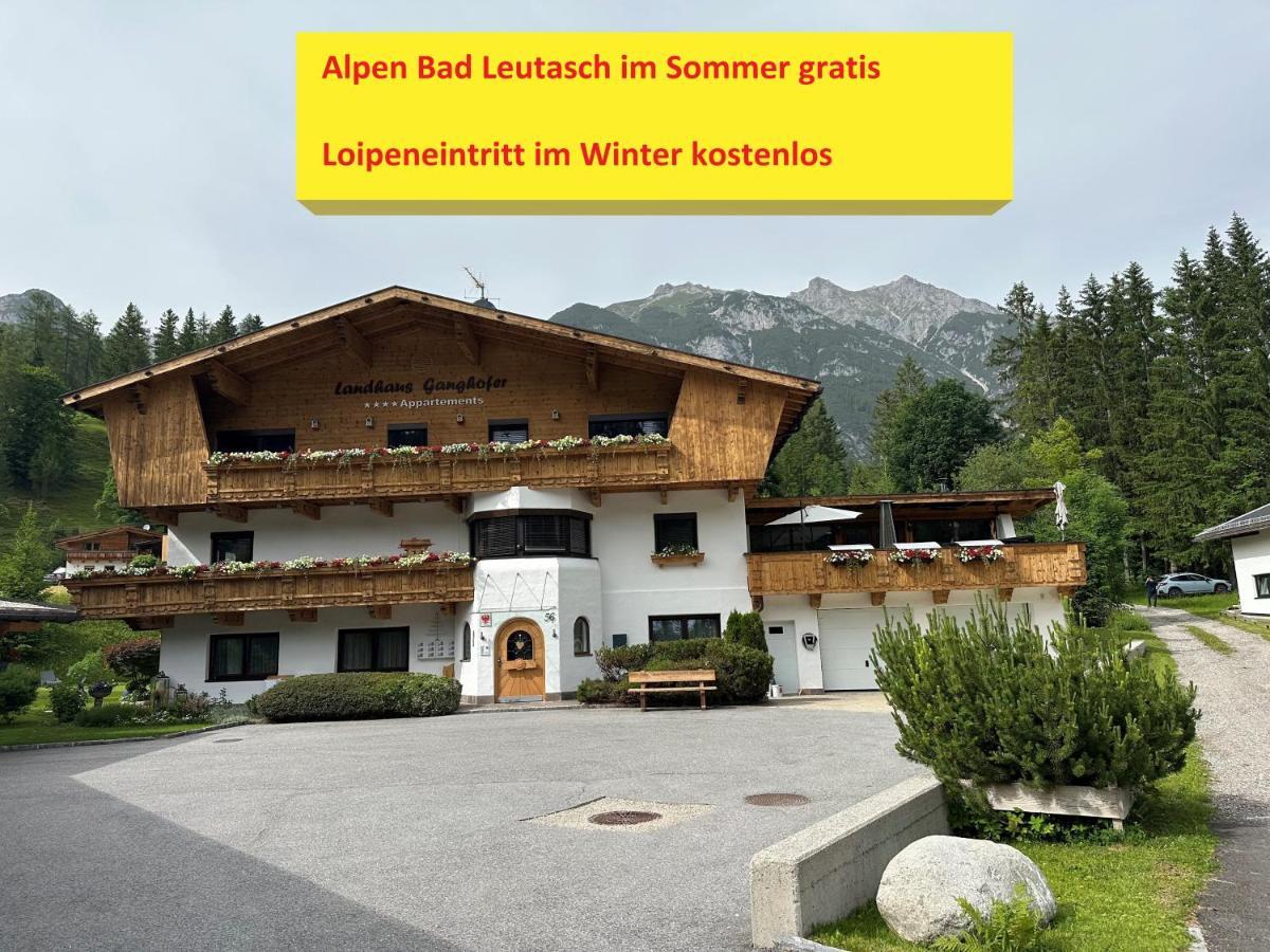 Appartement W4 Haus Ganghofer à Leutasch Extérieur photo